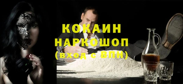 гидра Покачи