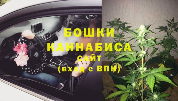 стаф Осташков